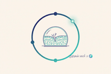 التعافي من زراعة القرنية: الجدول الزمني الكامل لـ 12 شهرًا ومعدلات النجاح وعلامات الرفض التعافي من زراعة القرنية: الجدول الزمني الكامل لـ 12 شهرًا ومعدلات النجاح وعلامات الرفض